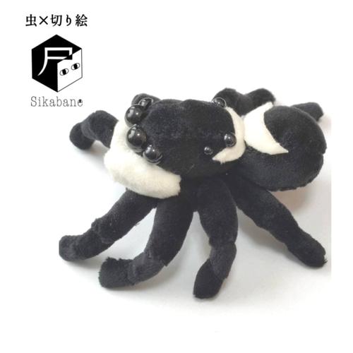 ウェル ハエトリグモのぬいぐるみ ハエトリグモのぬいぐるみ(アダンソンハエトリ) ぬいぐるみ 尸