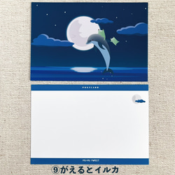 海の生き物のポストカード【絵柄が選べます】 10枚目の画像