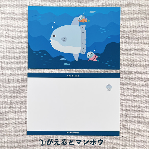 海の生き物のポストカード【絵柄が選べます】 2枚目の画像