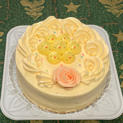 数量限定  ５号　杏ジャムをサンドしたヒヨコのバタークリームデコレーション 1枚目の画像