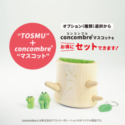 木の妖精 ボーちゃん キーホルダー キーラック 木製 TOSMU 13枚目の画像
