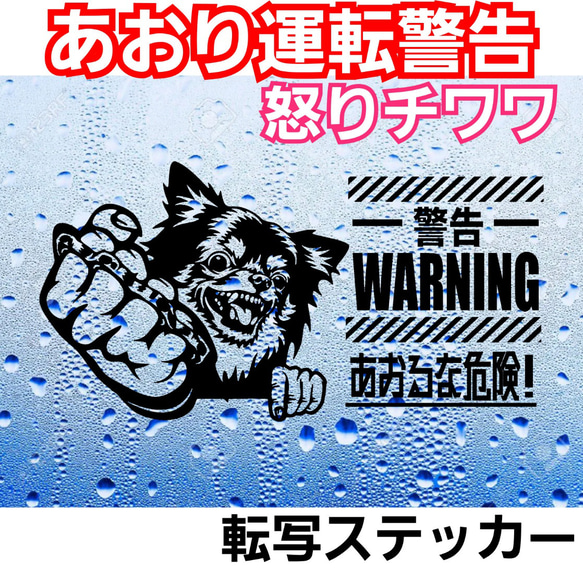 怒りのチワワ　あおり運転抑止　ステッカー 1枚目の画像