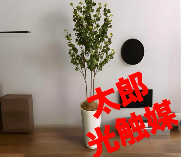 光触媒 人工観葉植物 ウォールグリーン 造花 インテリア ベンジャミン