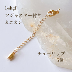 高品質　14kgf アジャスターチェーン　しずく　カニカン　50本　延長チェーン 4222de84586e0dbb8ed961e1459c31