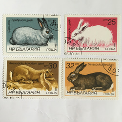 使用済切手   ブルガリア   ウサギ4枚 1枚目の画像