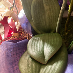 光触媒　人工観葉植物　ウォールグリーン　フェイク　フラワー　胡蝶蘭7545 8枚目の画像