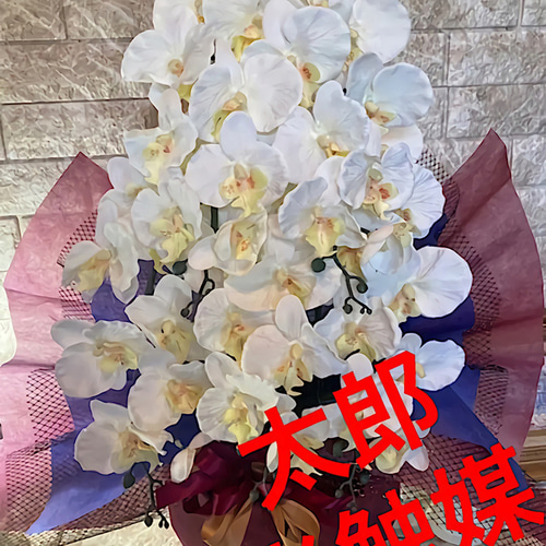 光触媒 人工観葉植物 ウォールグリーン フェイクグリーン 胡蝶蘭7545