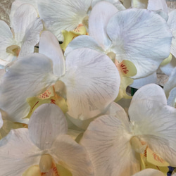 光触媒　人工観葉植物　ウォールグリーン　フェイク　フラワー　胡蝶蘭7545 7枚目の画像