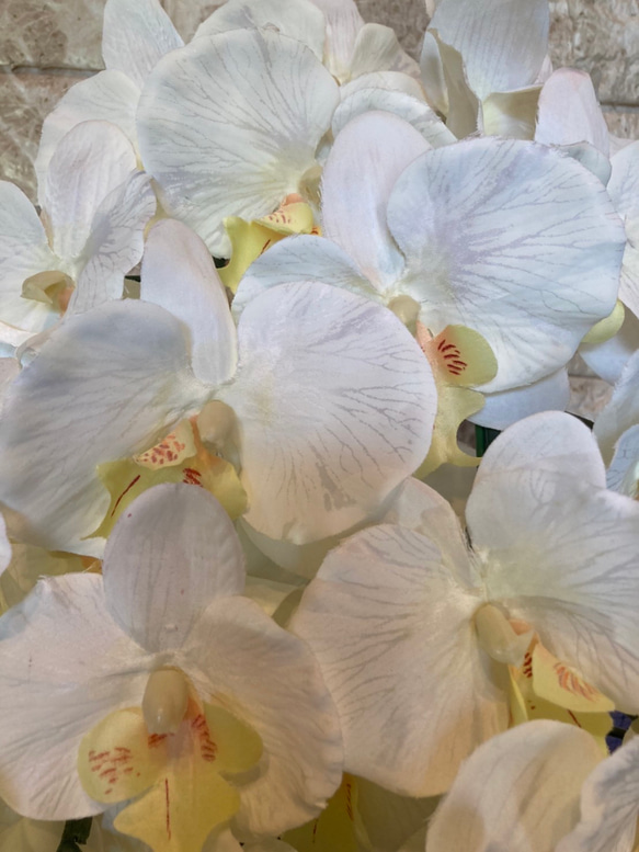 光触媒　人工観葉植物　ウォールグリーン　フェイク　フラワー　胡蝶蘭7545 7枚目の画像
