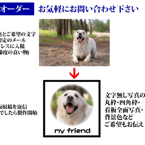 簡単オーダー】 犬 いぬ イヌ ワンちゃん dog ペット 飼い犬 思い出