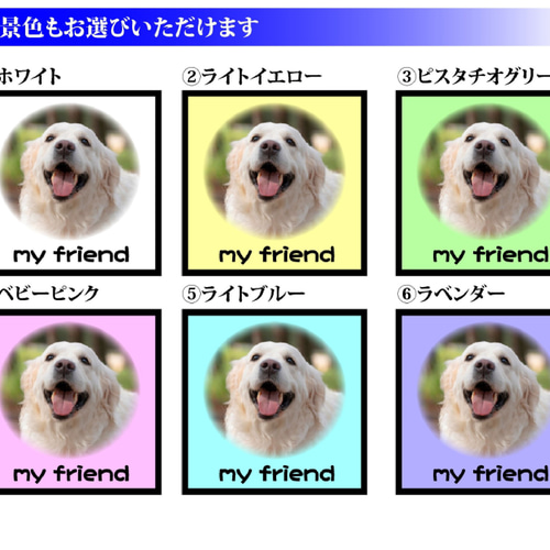 簡単オーダー】 犬 いぬ イヌ ワンちゃん dog ペット 飼い犬 思い出