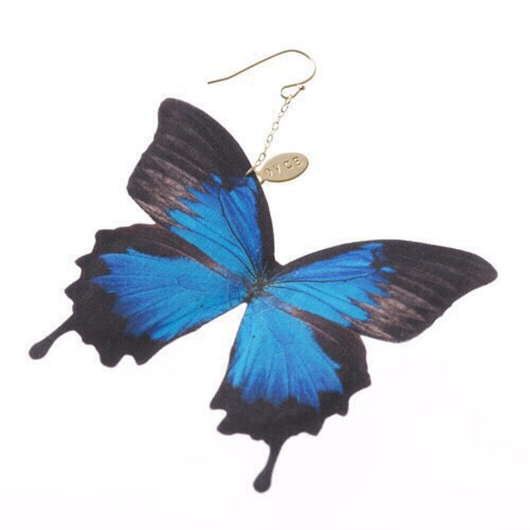 オオルリアゲハのピアス［新素材］ 1枚目の画像