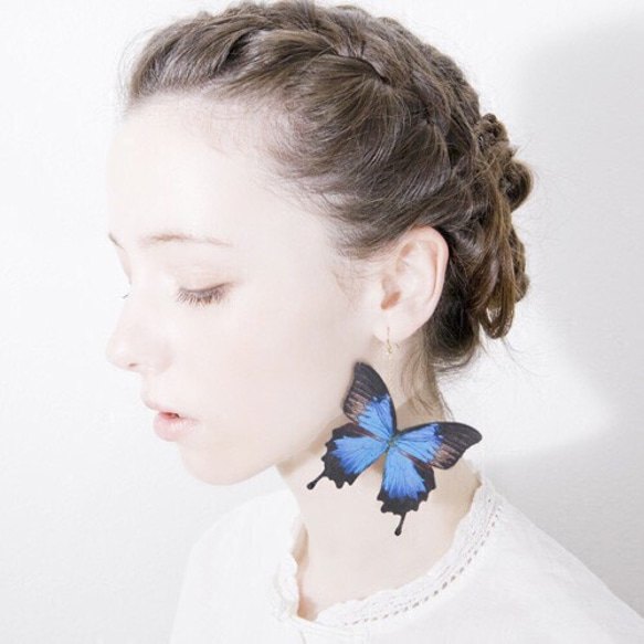 オオルリアゲハのピアス［新素材］ 2枚目の画像