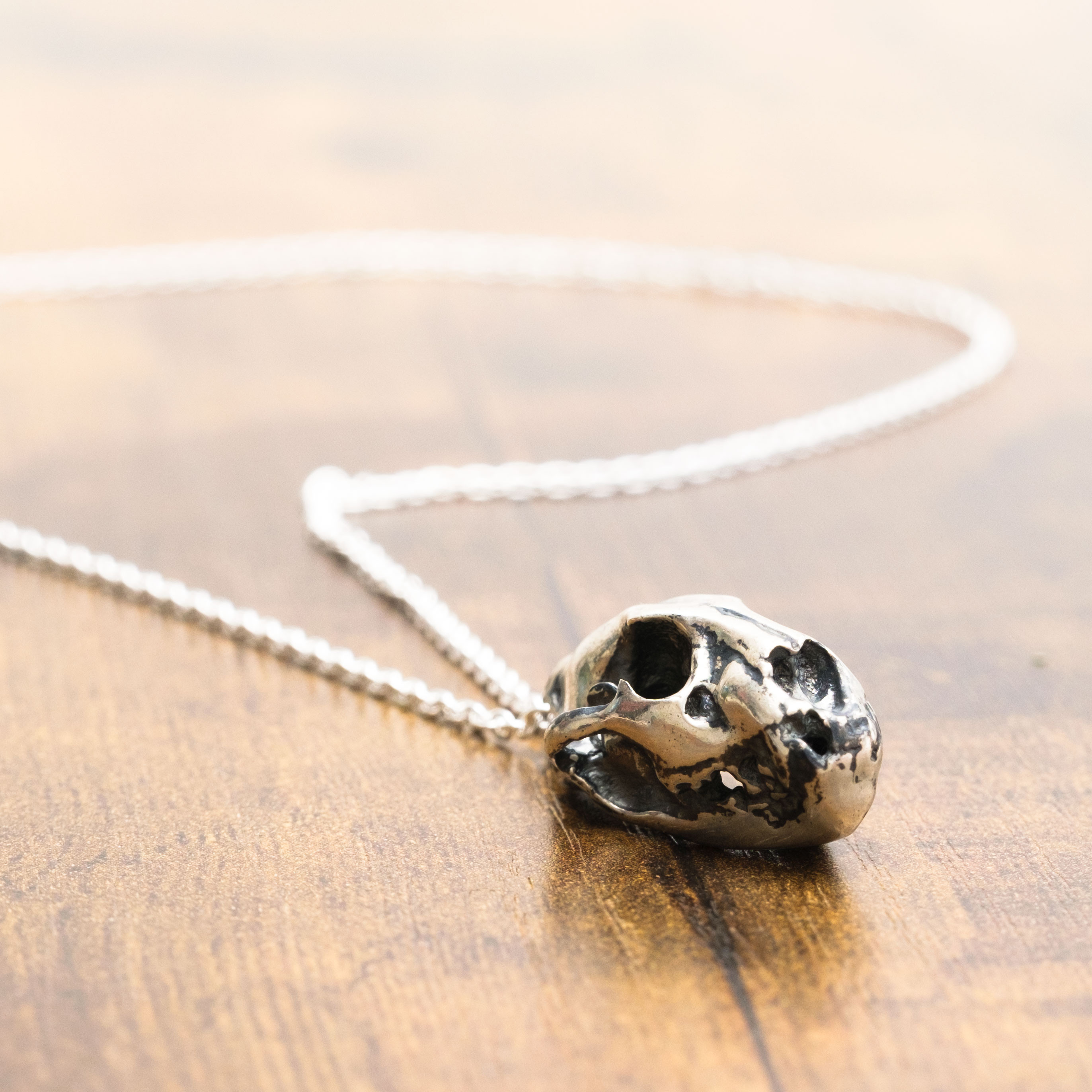 獅子（ライオン）「勇気と力をあなたに」- SV925ネックレス -