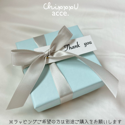 ドロップ型チャームネックレス / 金属アレルギー対応チェーン