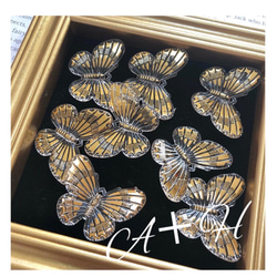 蝶々　アクリル チャーム  ４ヶ　320 2枚目の画像