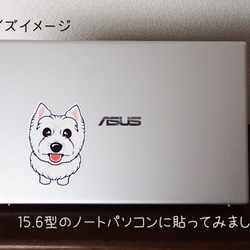 高耐候ステッカー　2枚入り　シーズー　茶白　ABCDOGS 4枚目の画像