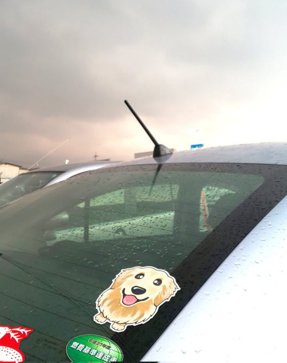 臘腸犬巧克力 ABCDOGS 帶 2 張高度防風雨貼紙 第5張的照片