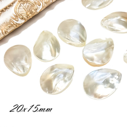 天然 シェル 貝殻 20mm 2コ ◇ シェルカラー ◇ シェルビーズ 貝