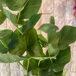 光触媒　人工観葉植物　ウォールグリーン　フェイク　フラワー　シーグレープモンステラ中 6枚目の画像