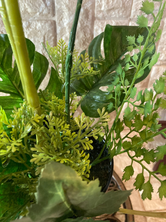 光触媒　人工観葉植物　ウォールグリーン　フェイク　フラワー　シーグレープモンステラ中 9枚目の画像