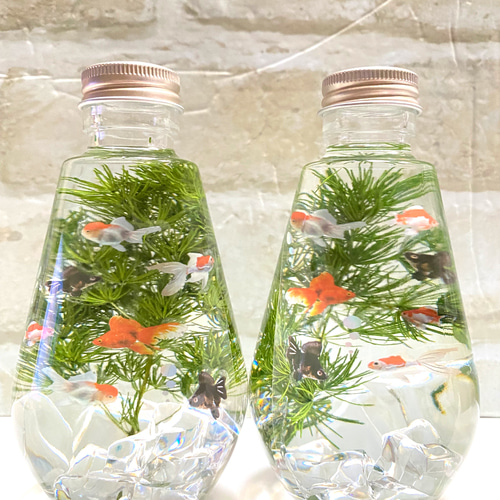 2980→2800円 3本set❤️熱帯魚 厚かっ *ハーバリウム