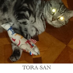 うちの子オーダー2025【オーダーメイド例_寅さん】羊毛フェルト、ペットメモリアル2025、オーダーメイド、虹の橋 7枚目の画像