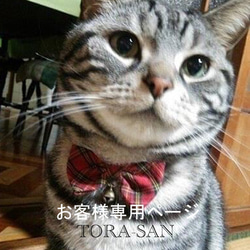 うちの子オーダー2025【オーダーメイド例_寅さん】羊毛フェルト、ペットメモリアル2025、オーダーメイド、虹の橋 3枚目の画像