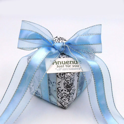 オーガンジーリボン【 Center satin stitch / Blue 】38mm ×2m リボン