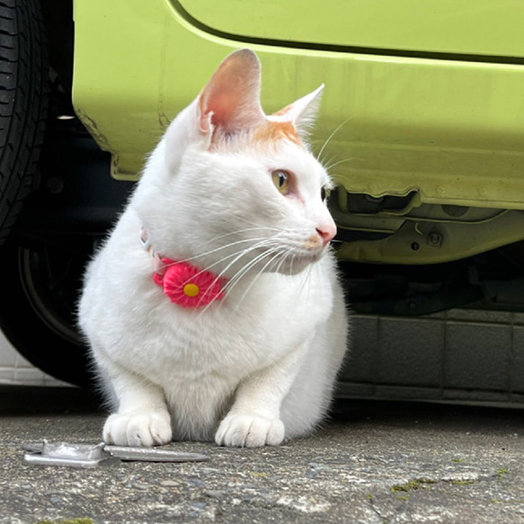 可愛い★ピンポイントで見つかる！ 迷子になっても安心 花柄 花 エアタグカバー シリコンカバー カバー AirTag 首 9枚目の画像