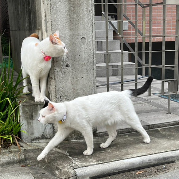 可愛い★ピンポイントで見つかる！ 迷子になっても安心 花柄 花 エアタグカバー シリコンカバー カバー AirTag 首 6枚目の画像