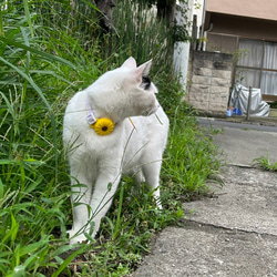 可愛い★ピンポイントで見つかる！ 迷子になっても安心 花柄 花 エアタグカバー シリコンカバー カバー AirTag 首 7枚目の画像