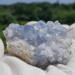 天然石 約186g約73mmセレスタイト(マダガスカル産)クラスター原石結晶ぎっしり天青石[ce-220722-03] 2枚目の画像