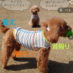 【犬服】 ハーフリネン チェック リボン Ａライン フリル キャミソール ワンピース 9枚目の画像