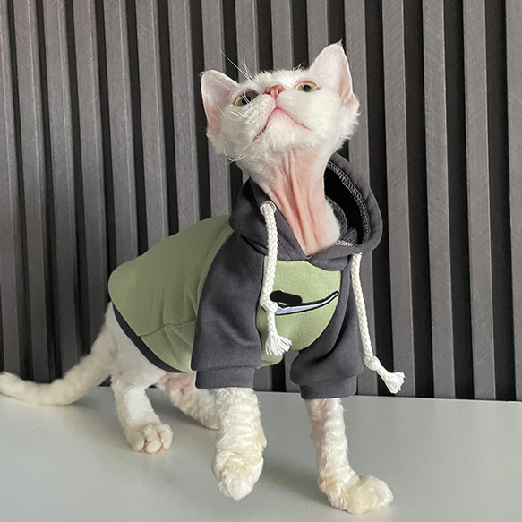猫服　コスプレ運動服　フード付きパーカー お散歩 犬　猫　用品 4枚目の画像