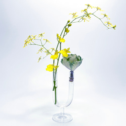理化学ガラスの花瓶「MEDIFLA(メディフラ) 」UNITY（ユニティ） 1枚目の画像