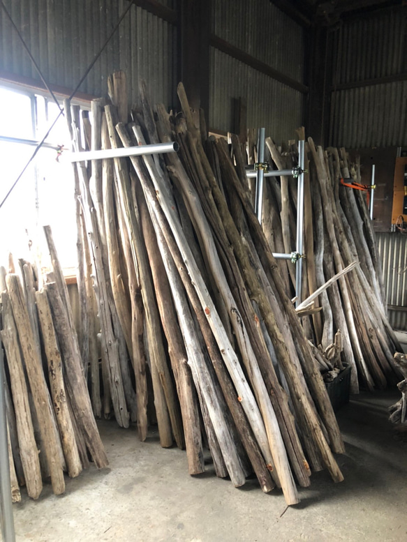 超希少●送料無料●（３００cm〜３３０cm前後）南信州産 枝幹 長い流木 天然流木 格安アソート ２本セット 長い流木 超希少●送料無料●（３００cm〜３３０cm前後）南信州産 格安アソート 枝幹 天然流木 ２本セット E2386653579(18400円)