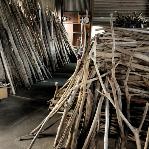 愛知県産　大型流木 超希少】特大流木（切り株） 立体・オブジェ Drift Wood Remaker 通販