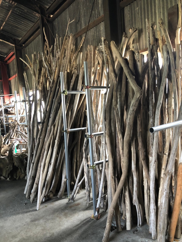 超希少●送料無料●（３００cm〜３３０cm前後）南信州産 枝幹 長い流木 天然流木 格安アソート ２本セット 長い流木 超希少●送料無料●（３００cm〜３３０cm前後）南信州産 格安アソート 枝幹 天然流木 ２本セット E2386653579(18400円)