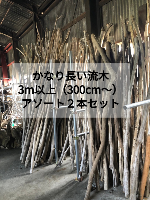 入手困難○送料無料○【長い流木】【300cm以上（3m〜）】大型流木 