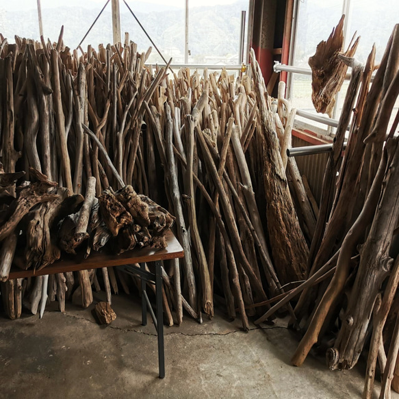 超希少●送料無料●（３００cm〜３３０cm前後）南信州産 枝幹 長い流木 天然流木 格安アソート ２本セット 長い流木 超希少●送料無料●（３００cm〜３３０cm前後）南信州産 格安アソート 枝幹 天然流木 ２本セット E2386653579(18400円)