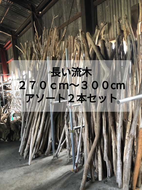 大型流木等|流木と自然素材の卸売り専門店|(有)ワールドゲット