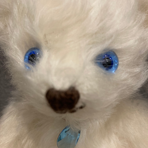 ブルーの瞳のホワイトベア 24cm ぬいぐるみ sanatio 通販 14333538