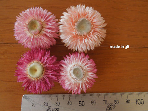 ドライフラワー　貝細工　お花が開いたもの　４個　材料　花材　雑貨 4枚目の画像