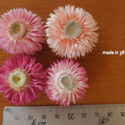 ドライフラワー　貝細工　お花が開いたもの　４個　材料　花材　雑貨 1枚目の画像