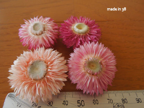 ドライフラワー　貝細工　お花が開いたもの　４個　材料　花材　雑貨 2枚目の画像