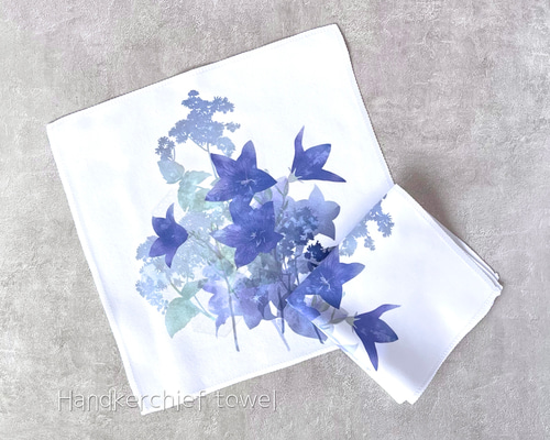 0d4b2641974d807fc9186813c5fc19