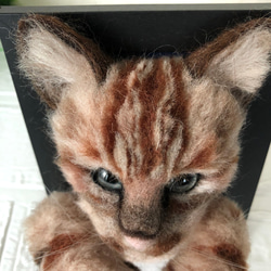羊毛フェルト　キジトラ　フレーム猫 4枚目の画像