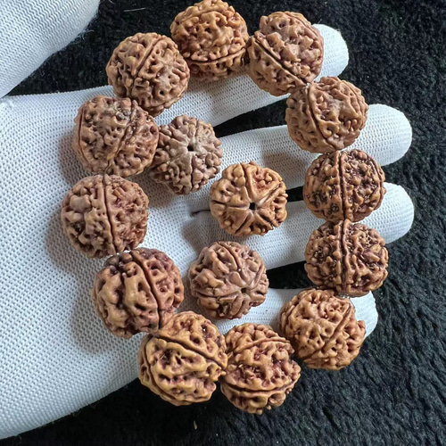 ルドラクシャ大金剛菩提梅花双竜232321/74.5g ブレスレット 鏡淞