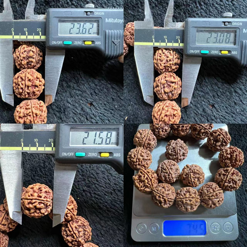 ルドラクシャ大金剛菩提梅花双竜232321/74.5g ブレスレット 鏡淞